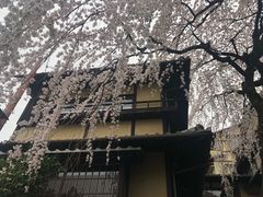 -有栖山 清光院 清水寺