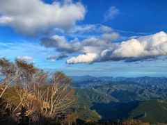 -白草畔自然风景区