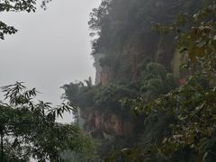 -蜀南竹海景区