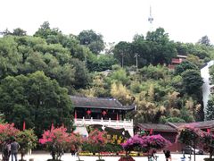 -乌山风景区