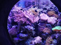 -南昌海洋公园
