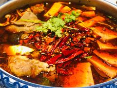 精品毛血旺-红辣椒·川菜·火锅(张杨路店)