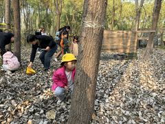 -贝美蓝天幼儿园(河东直沽园)