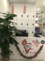 -华卫思理轻奢造型