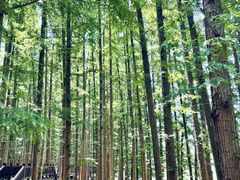 -南京金牛湖风景区