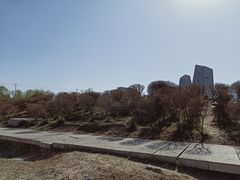 -门城湖公园