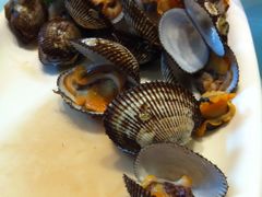 毛蚶-宝宇大连海鲜渔港(金奎大厦店)