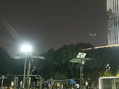 -重庆市江北嘴中央商务区中央公园