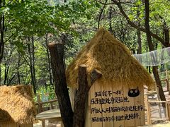 -沂蒙山旅游区云蒙景区(蒙山国家森林公园)