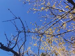 -洛阳市隋唐城遗址植物园