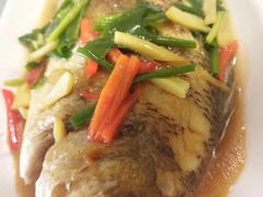 -天鹅到家·保姆月嫂育儿嫂(蔚蓝海岸店)