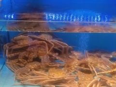 -阿伟海鲜楼·福建菜(延寿店)