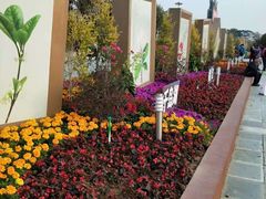 -深圳国际园林花卉博览园