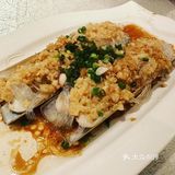 😻風味十足😋