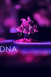 -DNA Wedding 婚礼记(上海店)