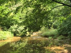 -丹东天桥沟景区