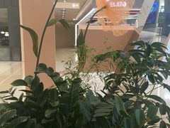 -凯德MALL(望京店)