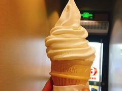 豆浆霜淇淋-永和大王(花好园店)
