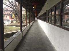 -苏州文庙(姑苏区)