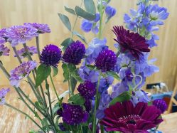 -元泉瑜伽培训学院