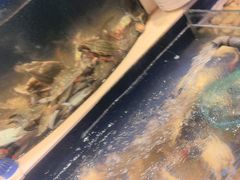 -海天盛宴新派海鲜自助餐厅(群力店)