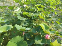 -韶山毛泽东同志故居