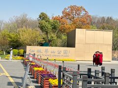 -羊山湖公园