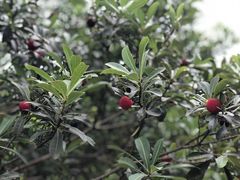 -陶祖圣境风景区