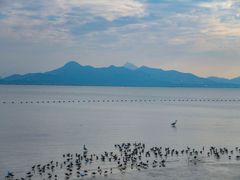 -深圳湾公园(南山区)