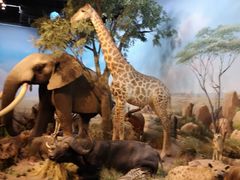 -陕西自然博物馆