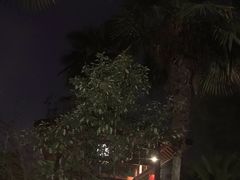 -咸宁万豪温泉谷度假区