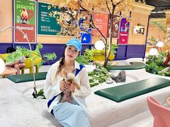 -帕帕拉兹宠物(亚洲旗舰店)