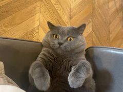 -Me Coffee下午茶艺术空间