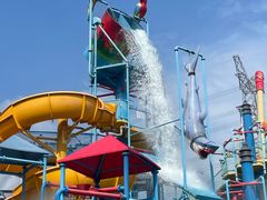 -苏州乐园森林水世界