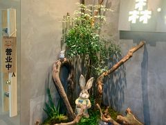-森SPA·泰式按摩·精油Massage(宝安中心店)