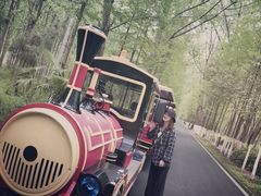 -合肥滨湖国家森林公园