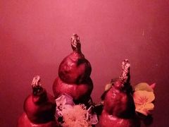 -桂花楼淮扬中餐厅(浦东香格里拉店)