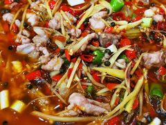 -盐与味葱葱鲫鱼•自贡菜江湖菜(春熙店)