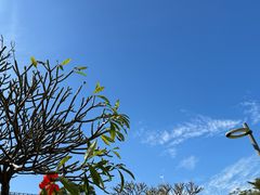 -西堤公园