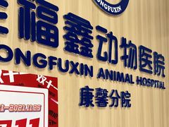 -宠福鑫康馨动物医院·骨科·眼科