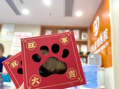 -创凡宠物医院·骨专科  猫科中心(西乡分院)