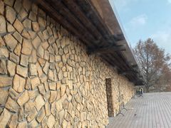 -宁波杭州湾国家湿地公园