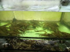 -合家小菜餐馆(新诚花苑店)