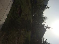 iphone_upload_pic-仁寿山