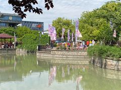 -嘉定紫藤园