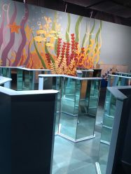 -北京科学中心儿童乐园