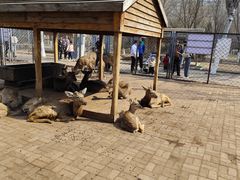 -长白岛森林公园