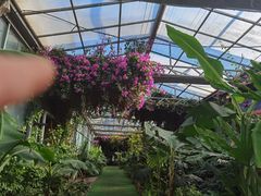 -呀路古热带植物园