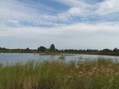 -泗洪洪泽湖湿地景区