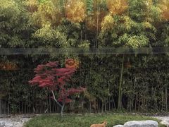 -西安凯悦酒店·湖畔中餐厅